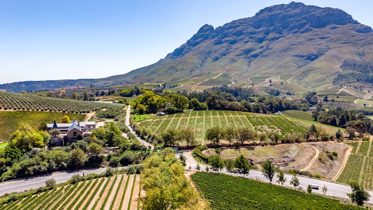 The Quiet Thrill of South Africa’s Wine Country
