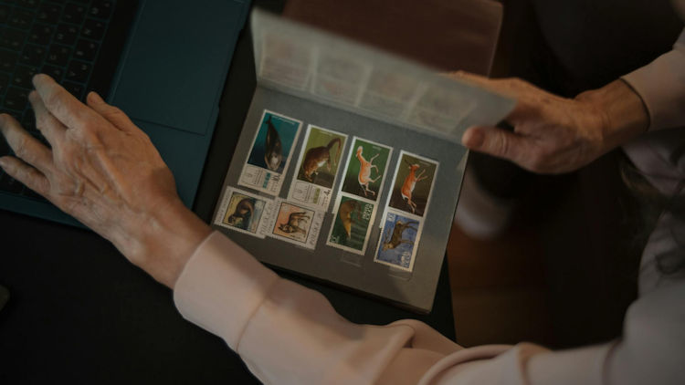 What Makes Collecting a Hobby That Evolves With Each New Discovery