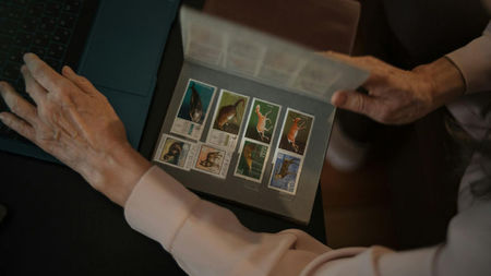 What Makes Collecting a Hobby That Evolves With Each New Discovery