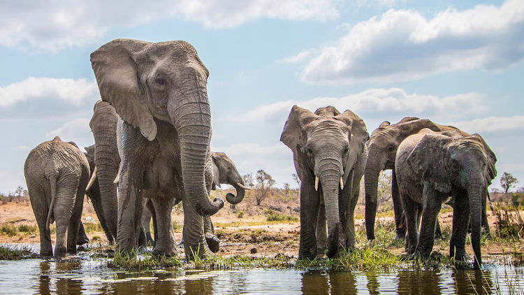 AmaWaterways Expands Its Africa Collection with Four New Itineraries