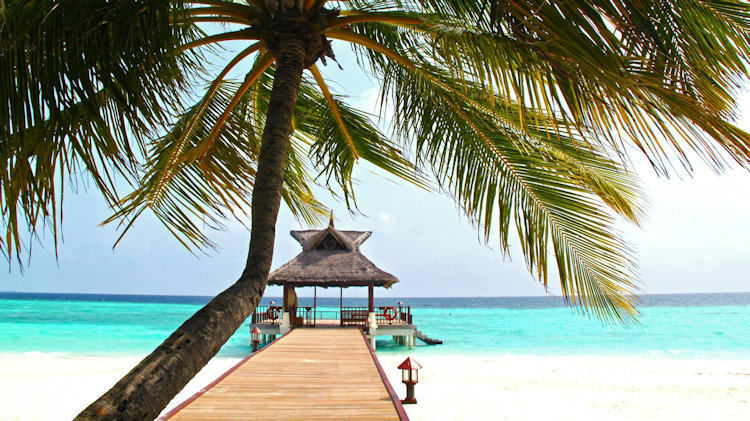 Planning to Travel in 2026? Need-to-Know Tips for Luxury Travelers