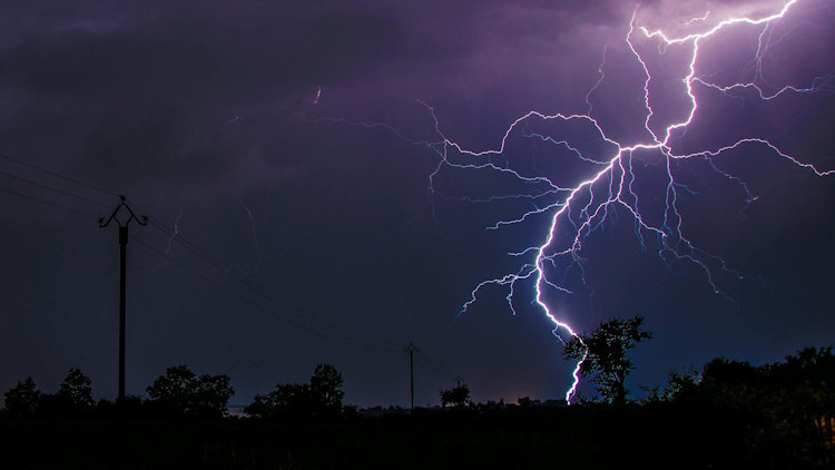 Surge Protection and Home Readiness Before Trips