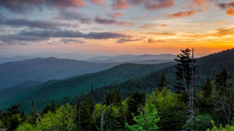 How to Plan a Family Vacation to the Smoky Mountains
