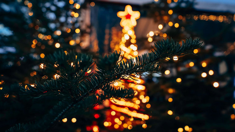 How Commercial Christmas Lighting Shapes the Luxury Holiday Experience