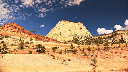 Base Camp Luxury, Where Zion's Adventurers Actually Stay