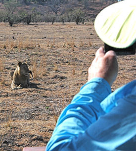 Zambia Safaris Deliver Adventure by Day, Luxury by Night