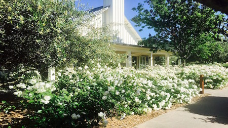 Stop and Smell the Roses at Calistoga's Solage, An Auberge Resort