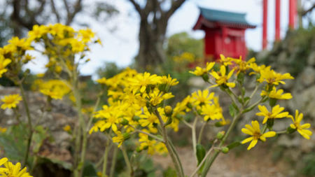 In Hamamatsu, Japan’s Heartland – A Castle, a Tea Service, a Great Meal and a Hot Bath