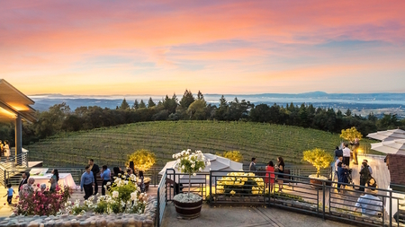 Southern San Mateo County: Museums, Gardens & Wine, Oh My!
