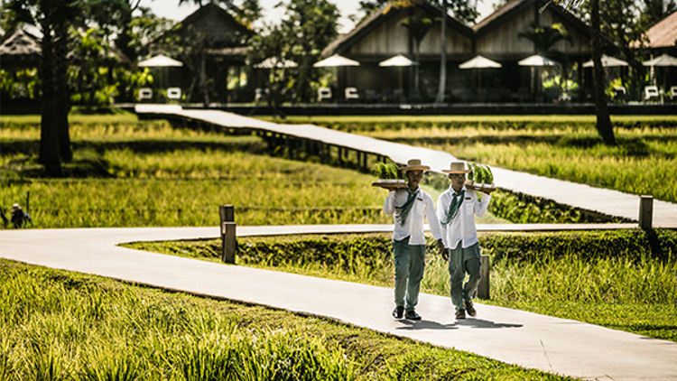 Phum Baitang: Preserving and Enhancing Cambodian Land