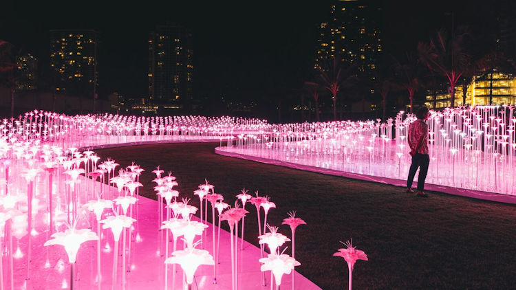 The Light Garden, 1000 Year Bloom, Launches in Honolulu 