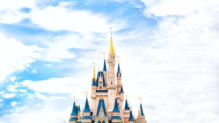 What You Need to Know About DVC Availability