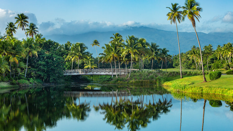 The St. Regis Bahia Beach Debuts 2021 Detox Retreat