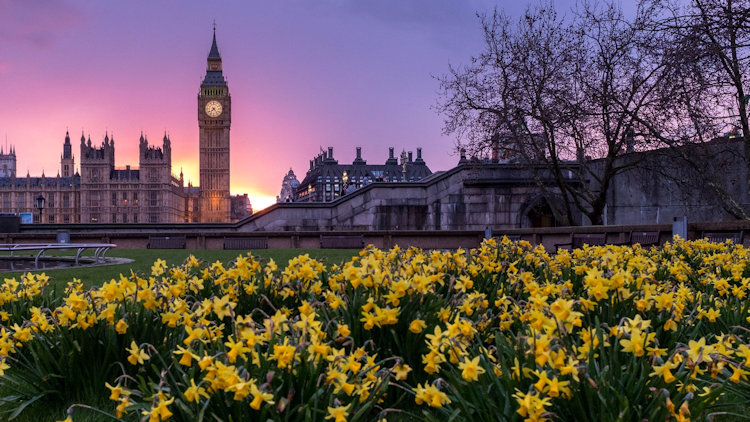 15 Things To Do in London