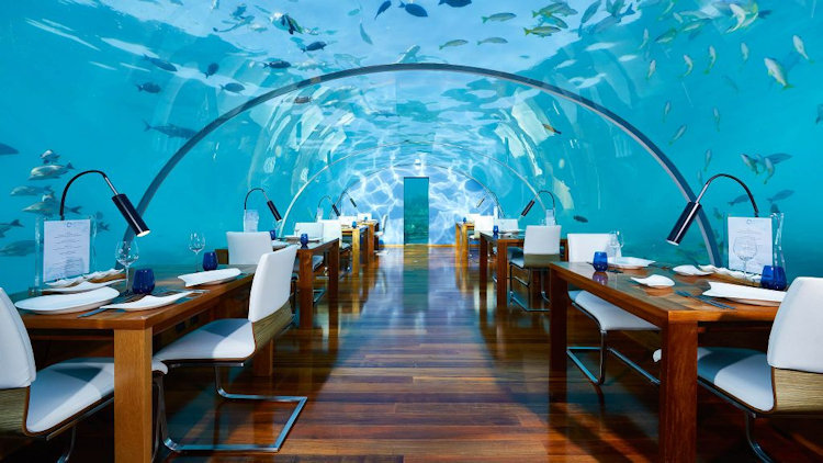 Thanksgiving Under the Sea: Conrad Maldives Now Offering Holiday Package at the Muraka