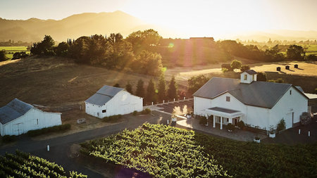 Napa's Luxury Wine Tasting Experiences