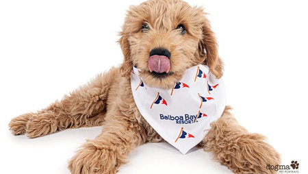 Pampered Pooch Package Arrives at Balboa Bay Resort