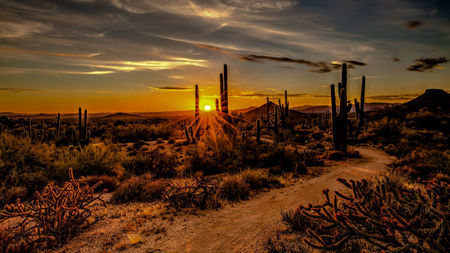 Creativity and Culture Abound In Scottsdale This Fall