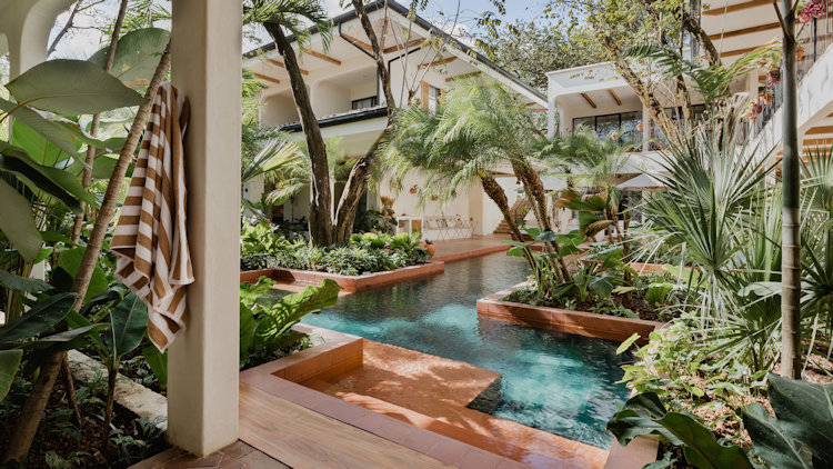 Hola Pura Vida! Surfers’ Wellness Retreat Now Open in Costa Rica