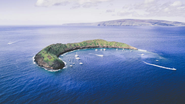 Explore Maui’s Amazing Underwater Life On a Snorkeling Adventure