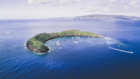 Explore Maui’s Amazing Underwater Life On a Snorkeling Adventure