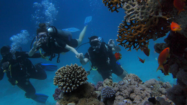 Ultimate Scuba Diving Guide: Gear Services and Top Destinations