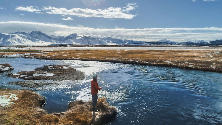 Unplug & Unwind: These Hotels are Bringing Back Analog Adventures