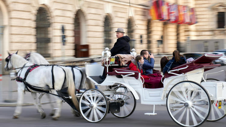 Unveiling Vienna: A Luxury Escape From New York You’ll Never Forget