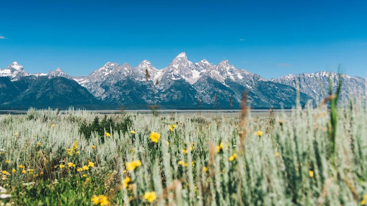 Jackson Hole's Snow King Resort Launches Summer Road Trip Package
