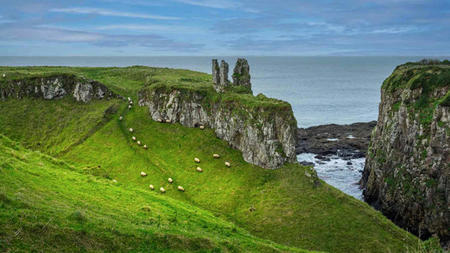 From Cliffs to Castles: Discover the Magic of Ireland