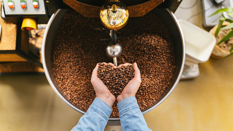 Top Coffee Stores Where You Can Buy Fresh-Roasted Beans Delivered Fast
