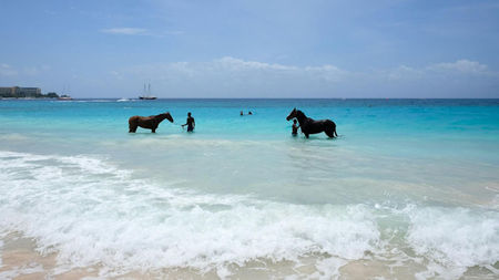 5 Things You Should Know Before Traveling from London to Barbados