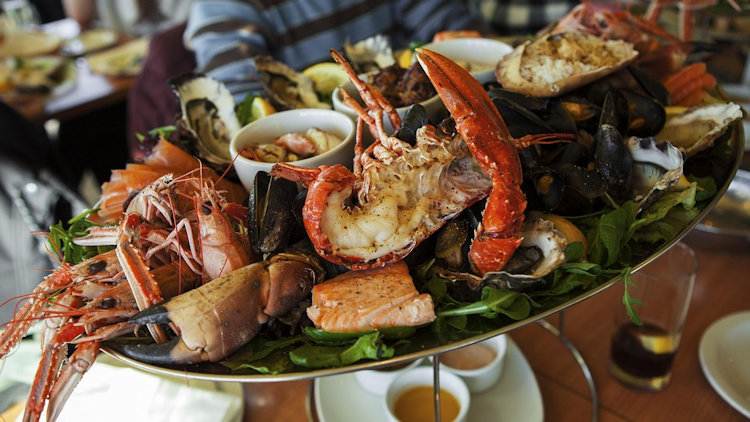 Coconut Grove's Top Seafood Dining Experiences