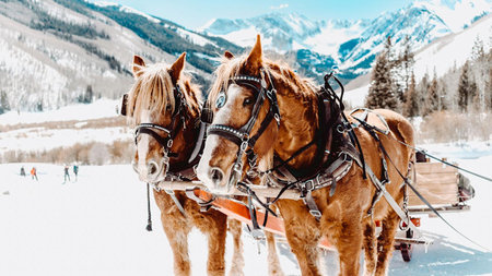 The Ultimate Luxury Travel Guide to Aspen: Winter Elegance and Elite Experiences