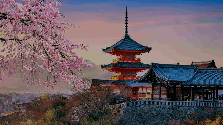 5 Immersive Ways to Explore the World