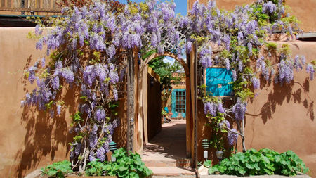 The Inn of the Five Graces Unveils 'The Great American Summer' Celebrating Two Major American Milestones in 2026