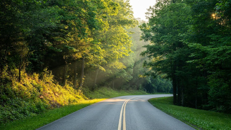 How To Plan A Balanced Smoky Mountain Stay
