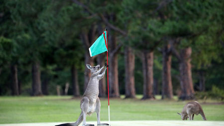 Top Australian Golf Destinations: The Luxury Traveller's Guide