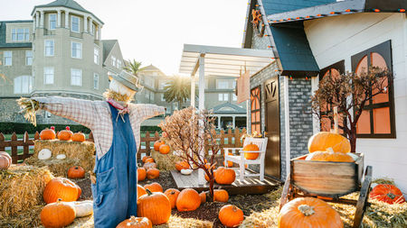 The Ritz-Carlton, Half Moon Bay Unveils Fall Celebrations by the Sea