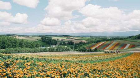 A Complete Guide to Experiencing Hokkaido’s Natural Wonders and Hidden Gems