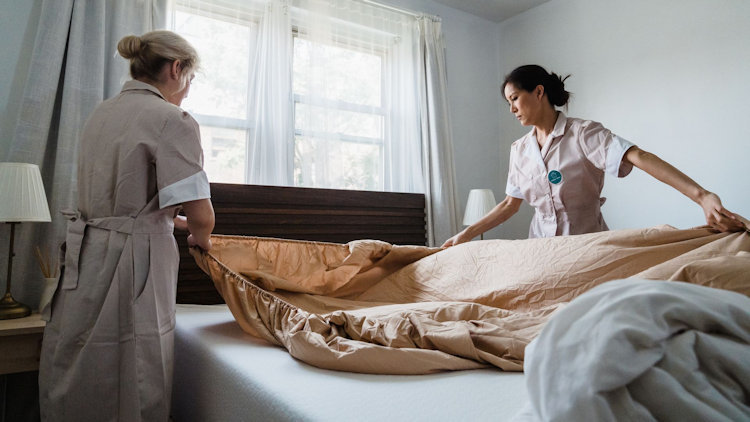 Best Maid Service in Allen, TX: Six Local Cleaning Companies Compared