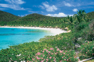 Little Dix Bay Launches Caribbean Lobster Festivals
