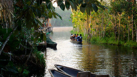 Time Travel: Exploring Ecuador's Amazonian Rainforest