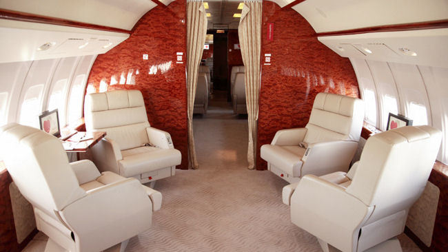 Raising the Bar on Luxury Pet Travel 