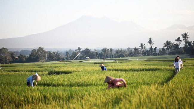 Remote Lands Offers Creative Ideas for Luxury Bali Holidays