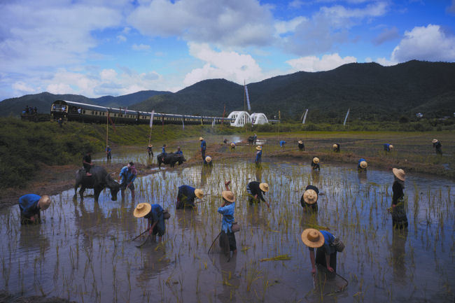 Snake Your Way Through South-East Asia with Eastern & Oriental Express