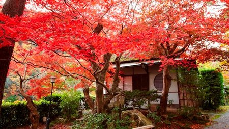 Suiran, a Luxury Collection Hotel, Kyoto Brings Enchanting Destination to Life for Global Travelers 