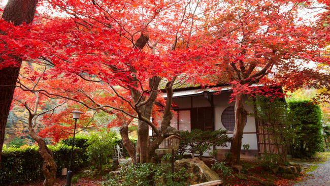 See the Splendour of a Japanese Autumn at Suiran, a Luxury Collection Hotel