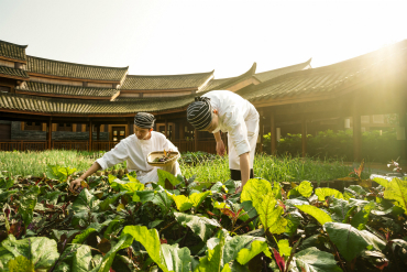 Six Senses Qing Cheng Mountain to Hold Weekly Farmers' Markets for Guests