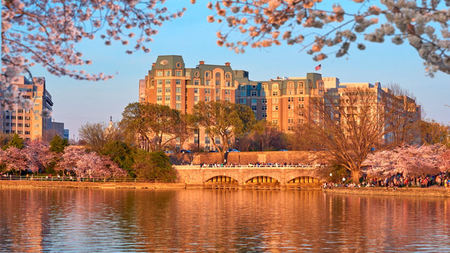 Mandarin Oriental, Washington DC Celebrates the Cherry Blossoms 